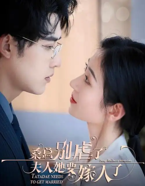 《潮汐线以南》治愈爱情剧集海报